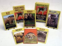 Stephen D. Farmer Power Animal Oracle Cards