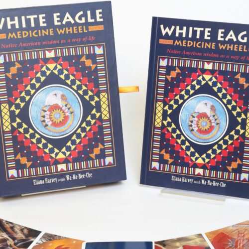 White Eagle Medicine Wheel - Eliana Harvey