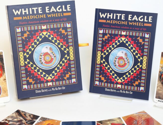 White Eagle Medicine Wheel - Eliana Harvey