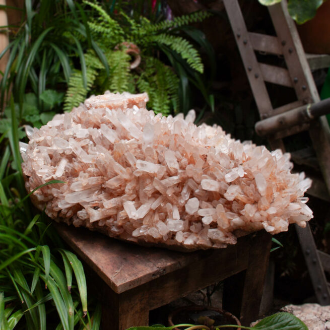 Giant Red Quartz Cluster Specimen