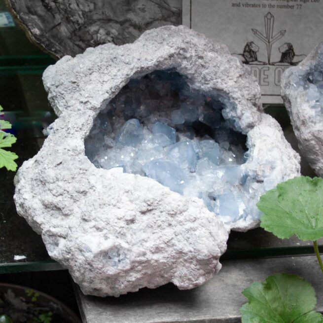 Large Celestite Cluster Cave