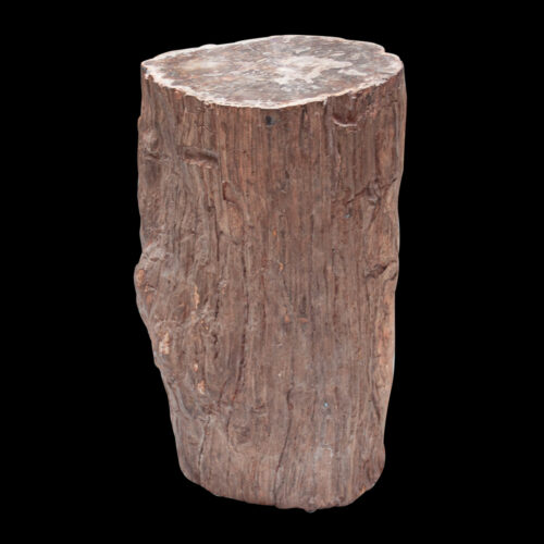 Large Madagascan Petrified Tree Stump