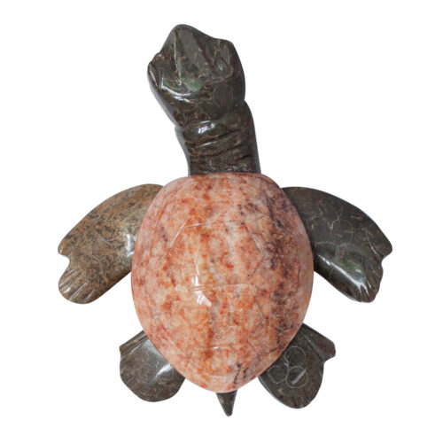 Herbert Halate Turtle - Large